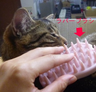 P1030877のコピー